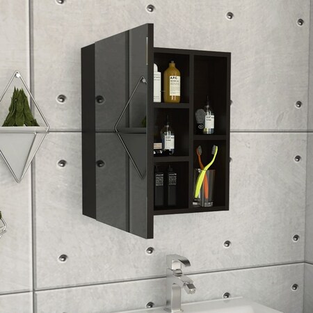 Tuhome Labelle Medicine Cabinet With Mirror, Five Internal Shelves, Single Door, Black GLW4766